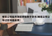 哪家公司能开发区块链数字货币[哪家公司公布过区块链业务]