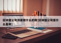 区块链公司到底做什么的呀[区块链公司靠什么盈利]